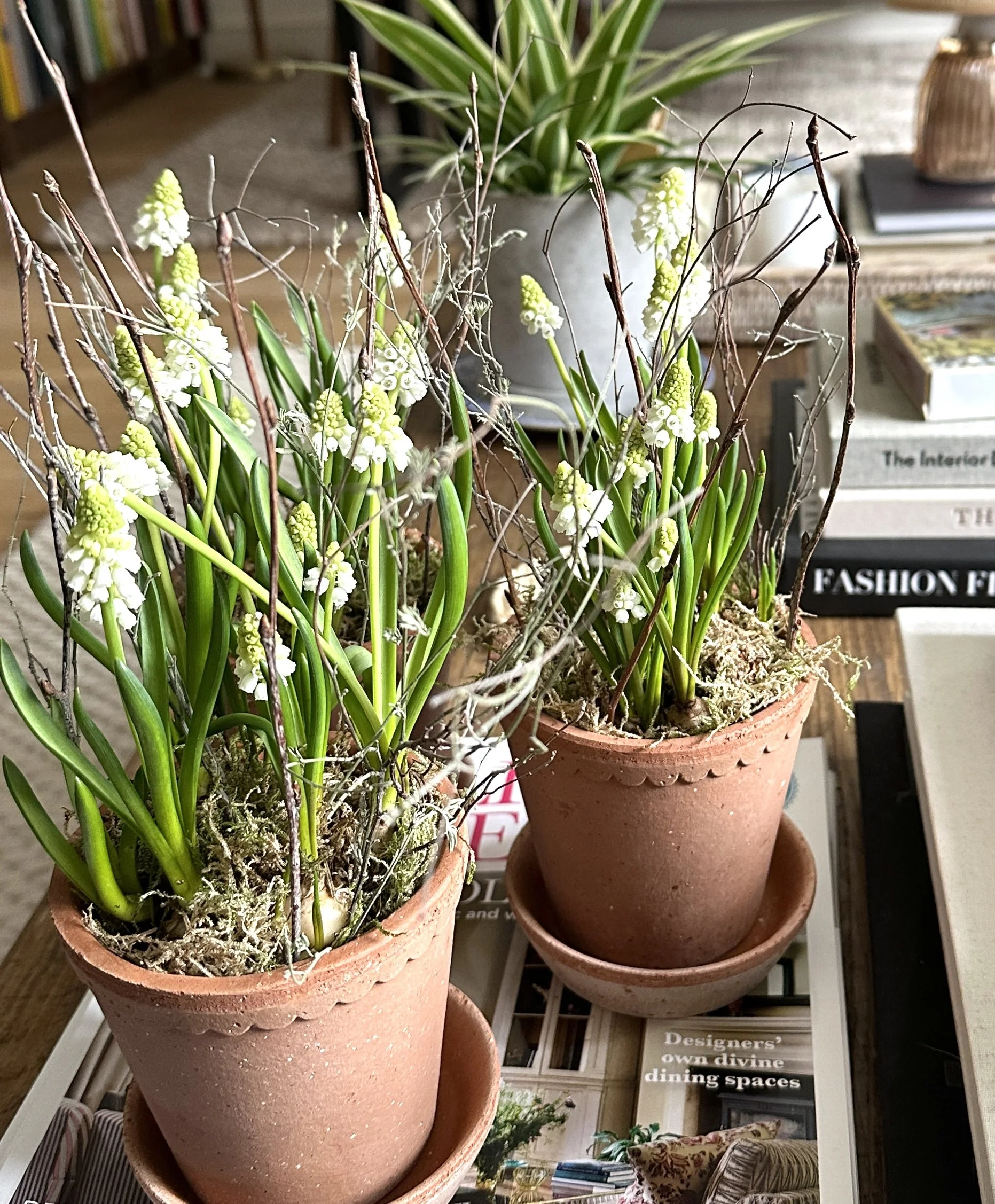 small daily rituals - spring
