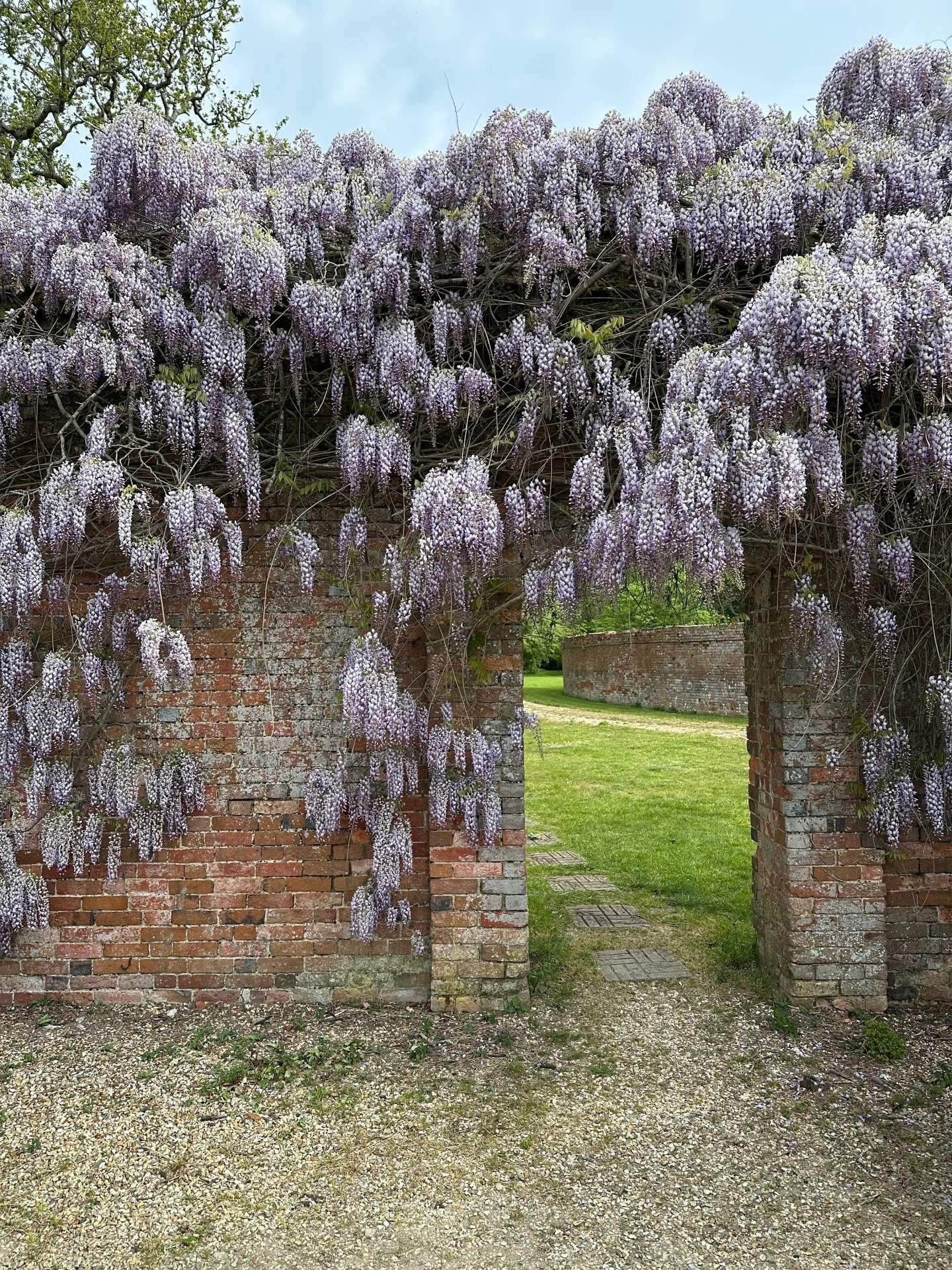 April in stills&hellip;
Bluebells, blossom and banana bread&hellip; all the favourite B&rsquo;s!
⠀⠀⠀⠀⠀⠀⠀⠀⠀
⠀⠀⠀⠀⠀⠀⠀⠀⠀
🏷️ spring, simple joys, elevate the everyday, romanticising life, intentional living