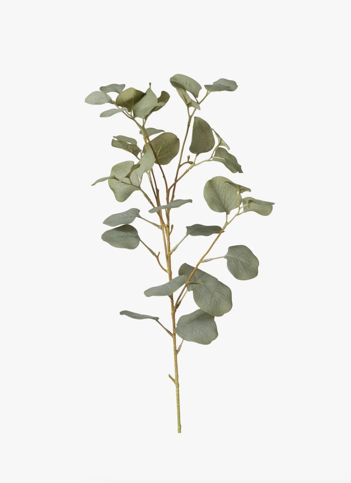 OKA faux eucalyptus stem