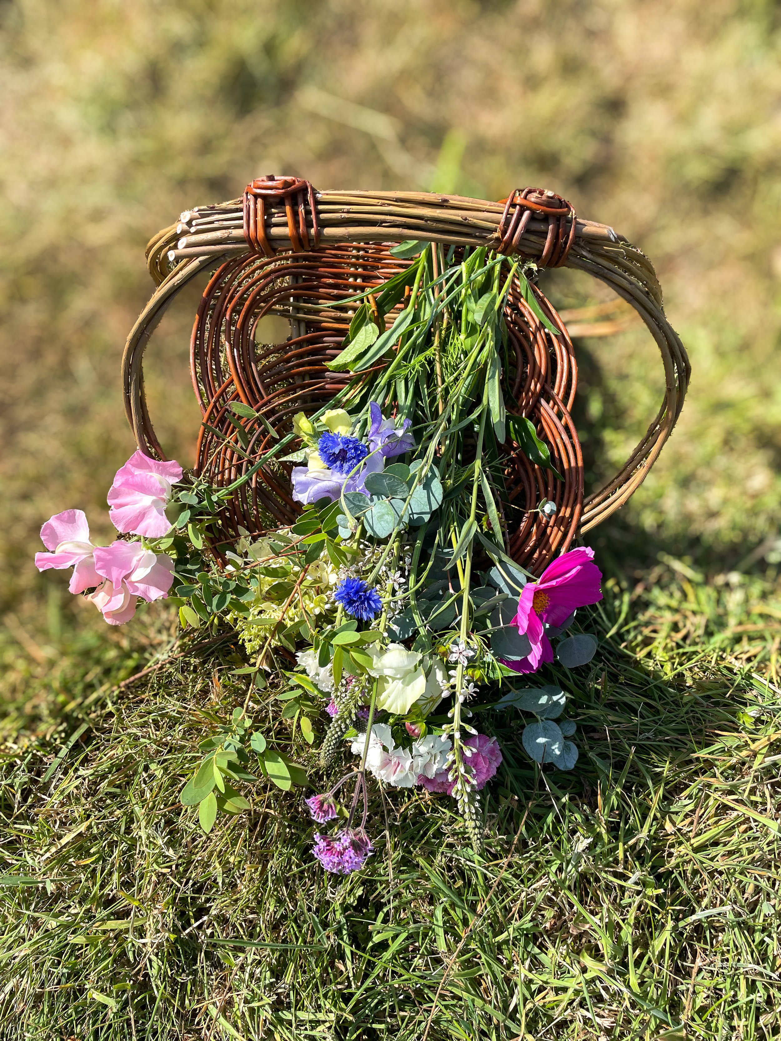 trug on grass.jpg