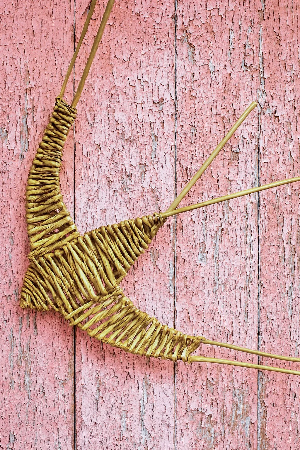 Hanging Swallow