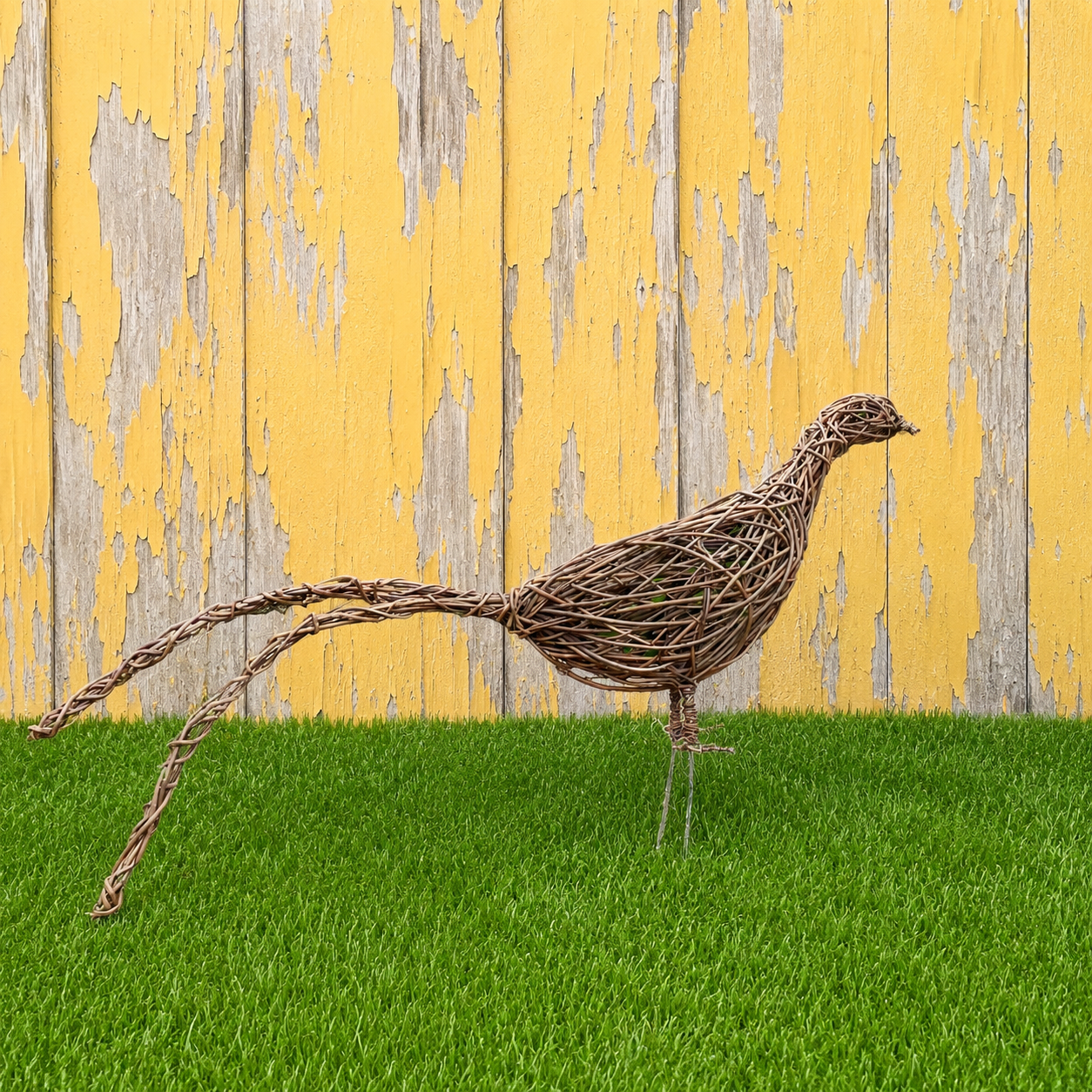 pheasant on yellow.PNG