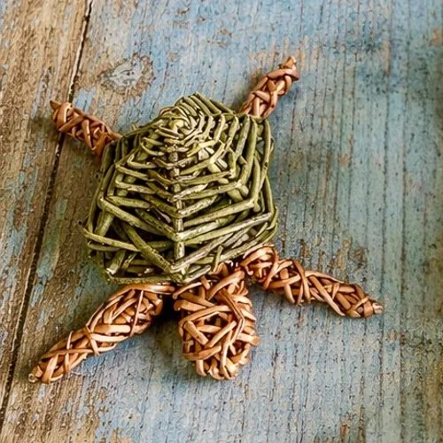 3 turtles-3.jpg