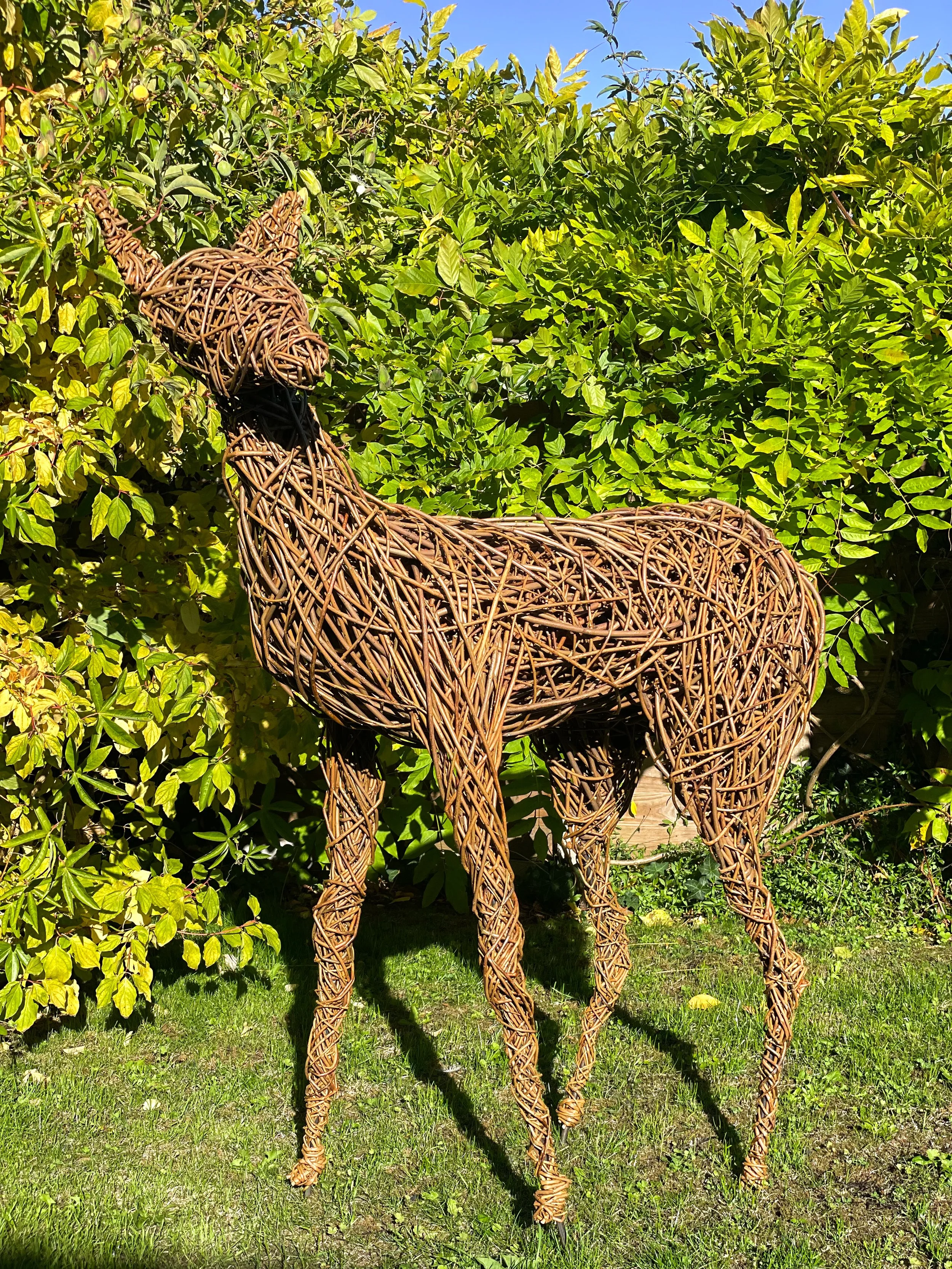 Willow deer in garden.jpeg