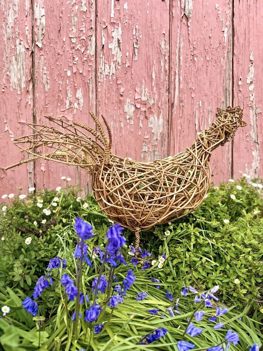 willow cockerel.jpg