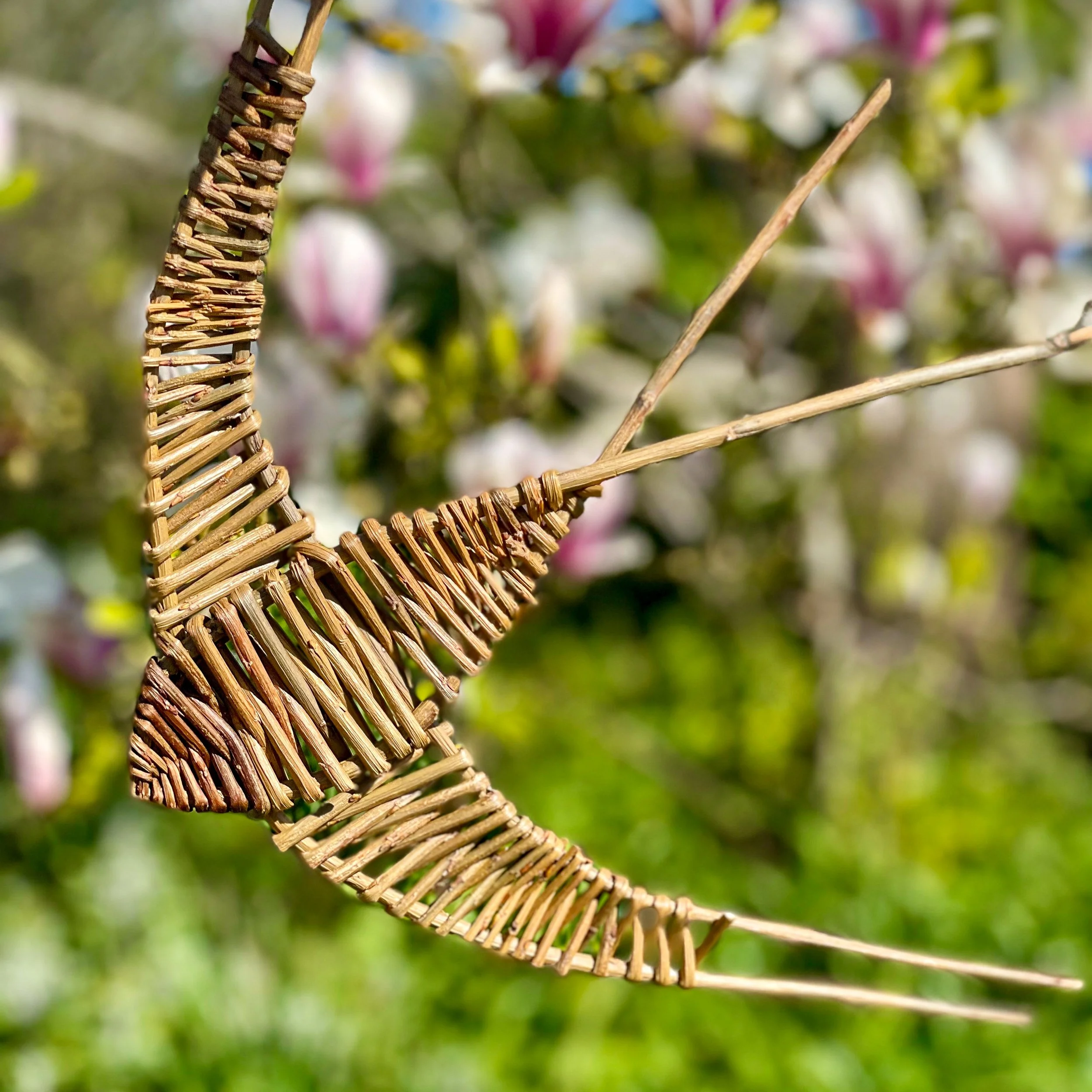 Introduction to willow weaving 15 March 1pm