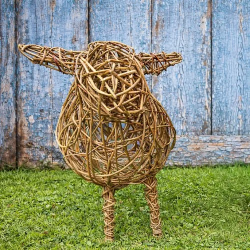 willow ewe.jpg