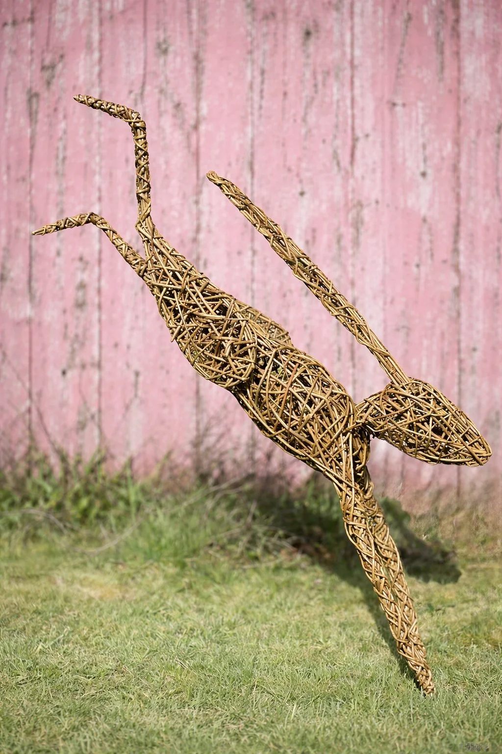 Leaping Hare