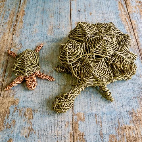2 turtles.jpg