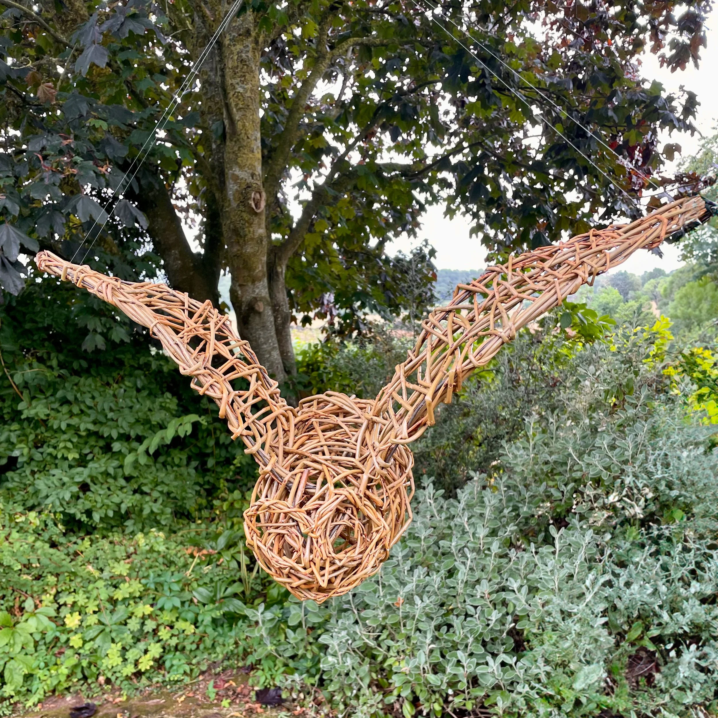 flying owl front png