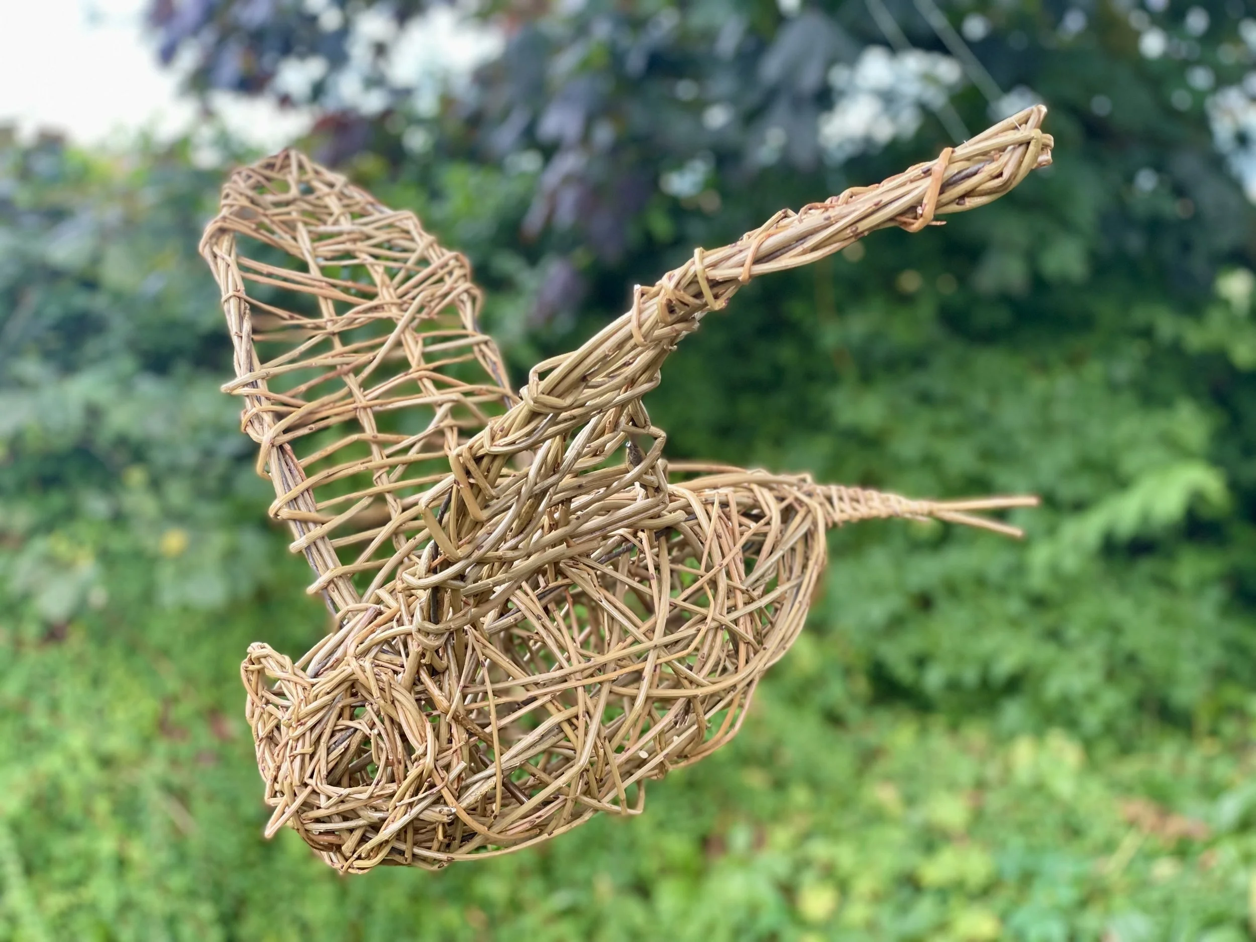 flying owl sidejpg