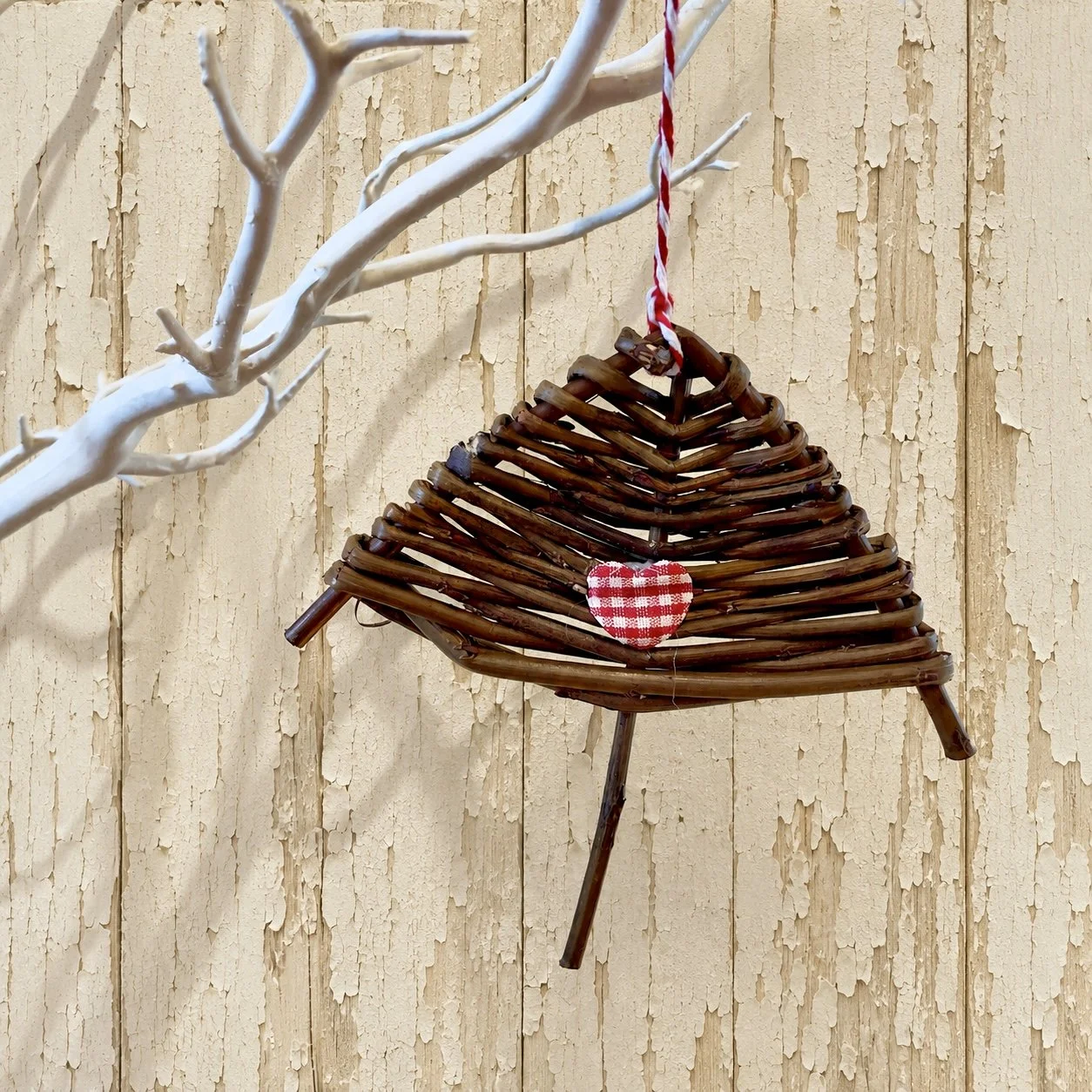 hanging willow tree.jpg