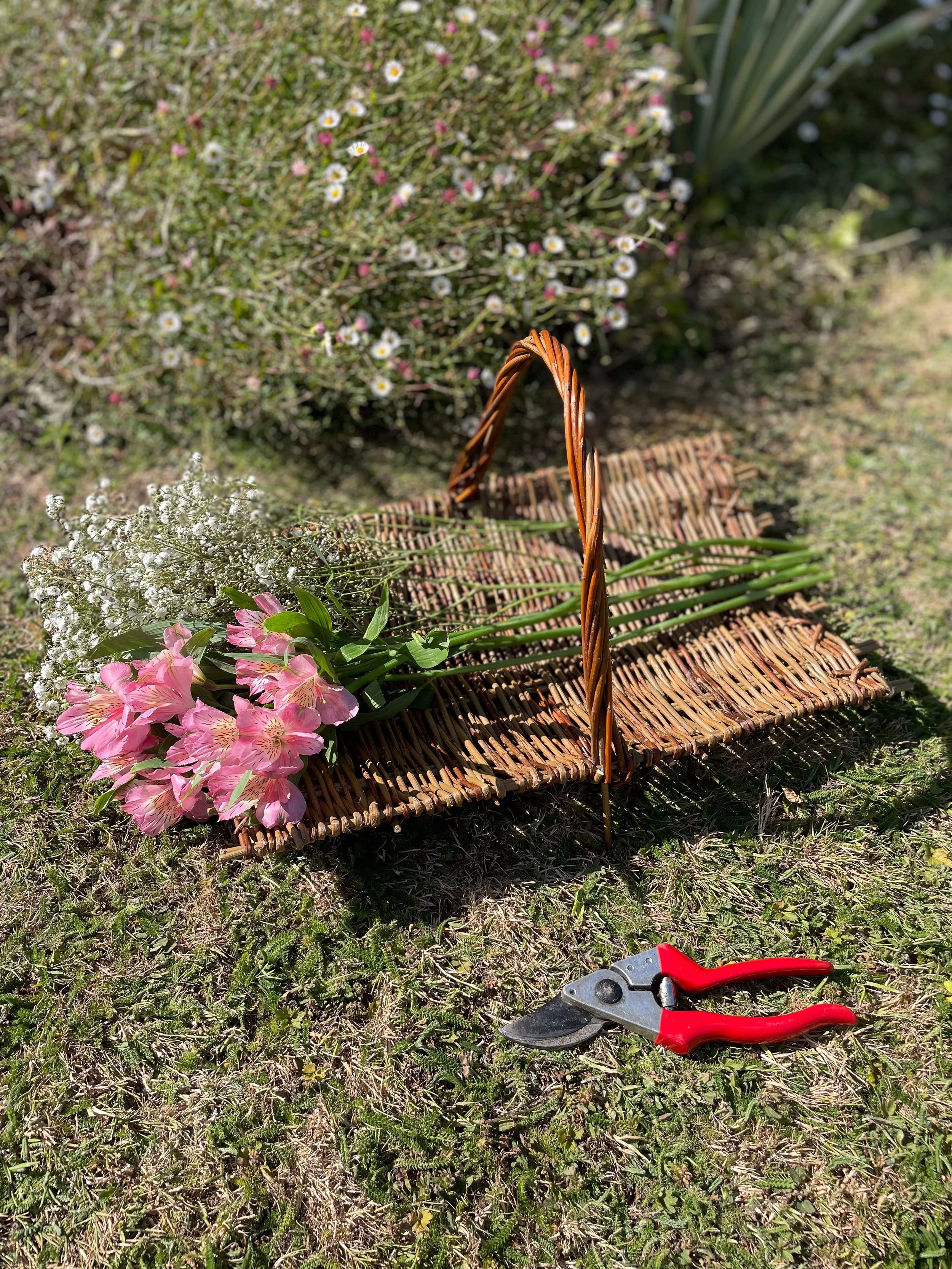 flower trug on grass.jpg