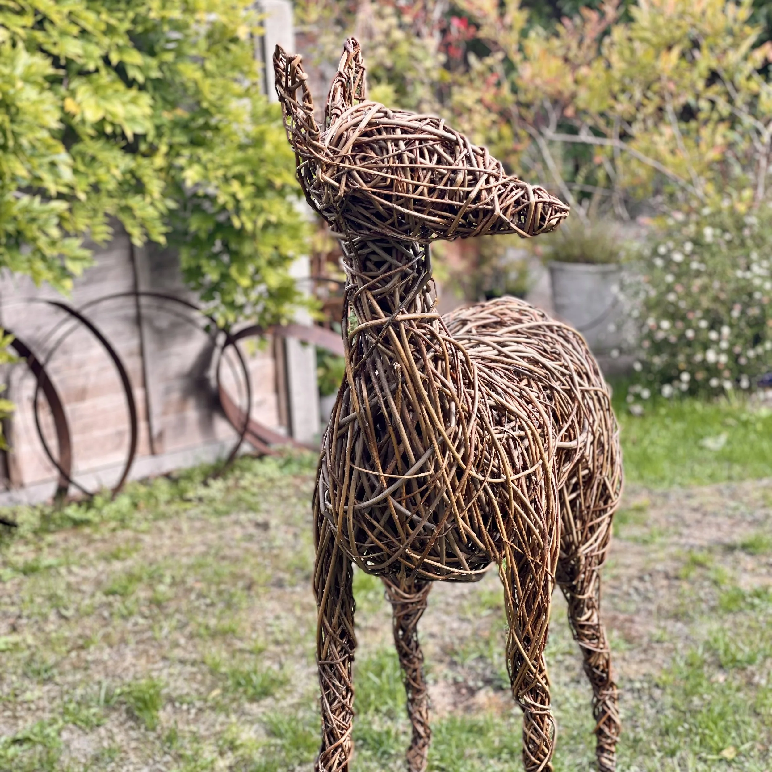 Willow deer side.jpeg