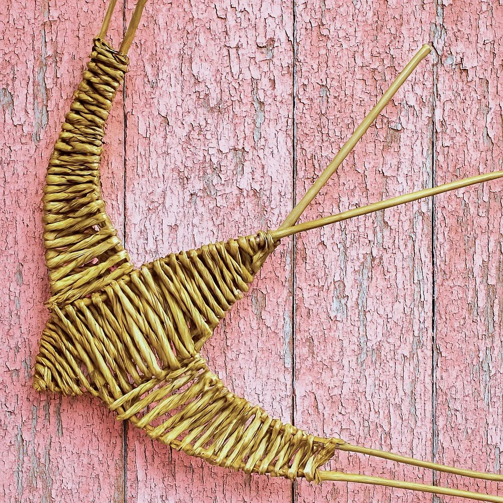 willow swallow.jpg