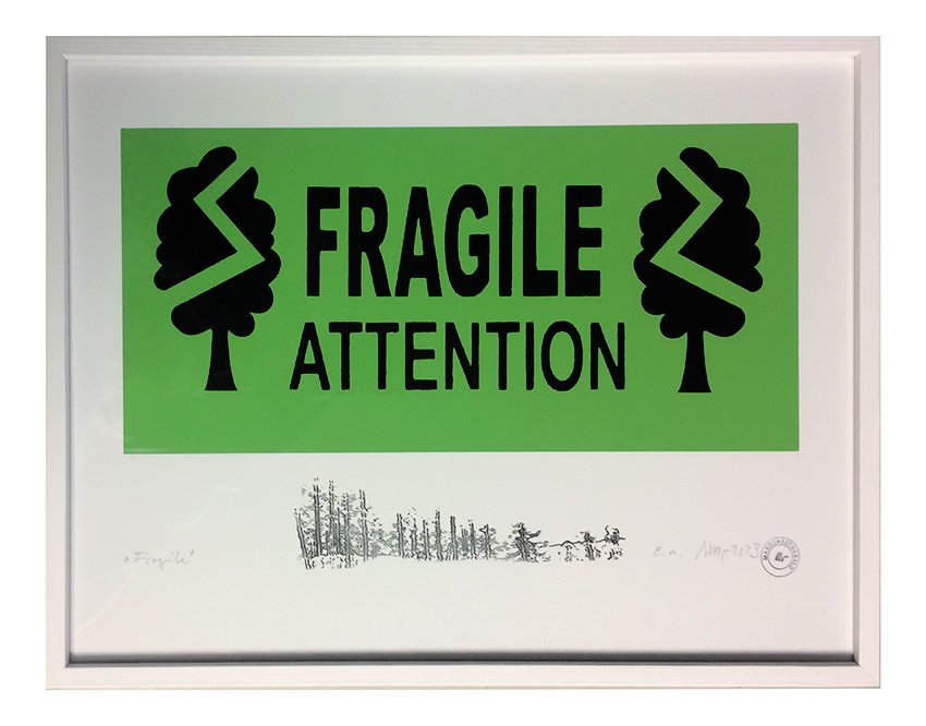 Fragile-Grün_2499.jpg