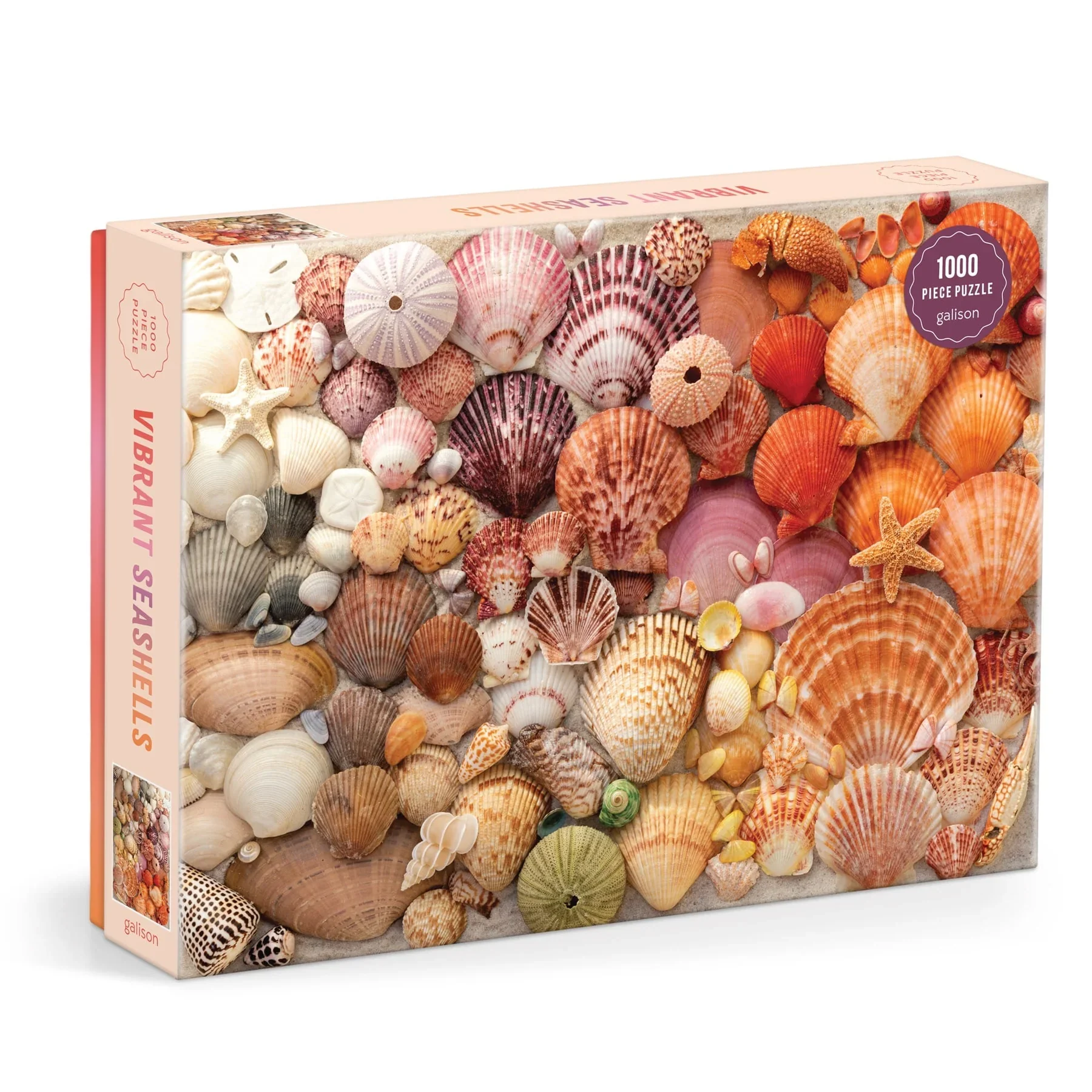 vibrant-seashells-1000-piece-puzzle-1000-piece-puzzles-christine-chitnis-798102.webp