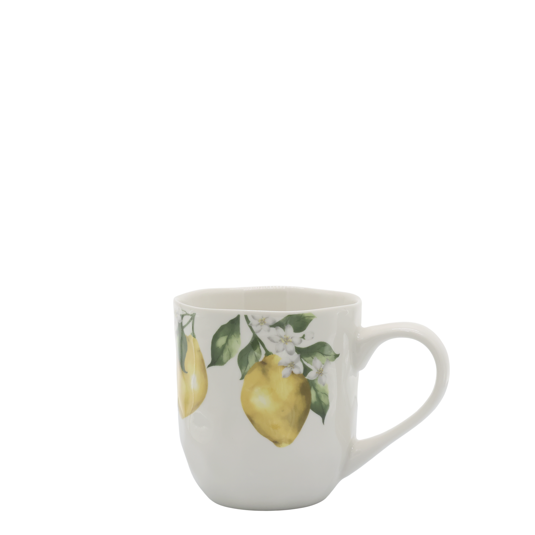 61096819_02.png