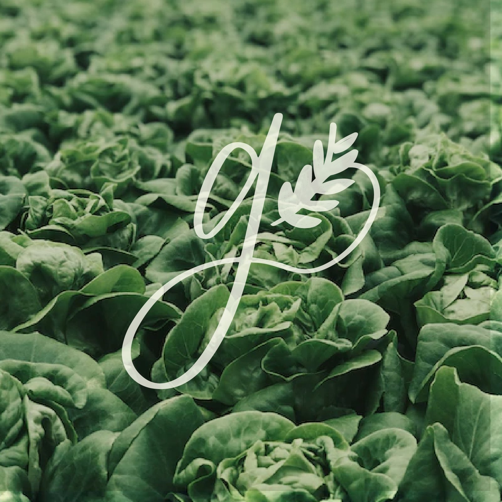 Artboard 16@2x-100.jpg