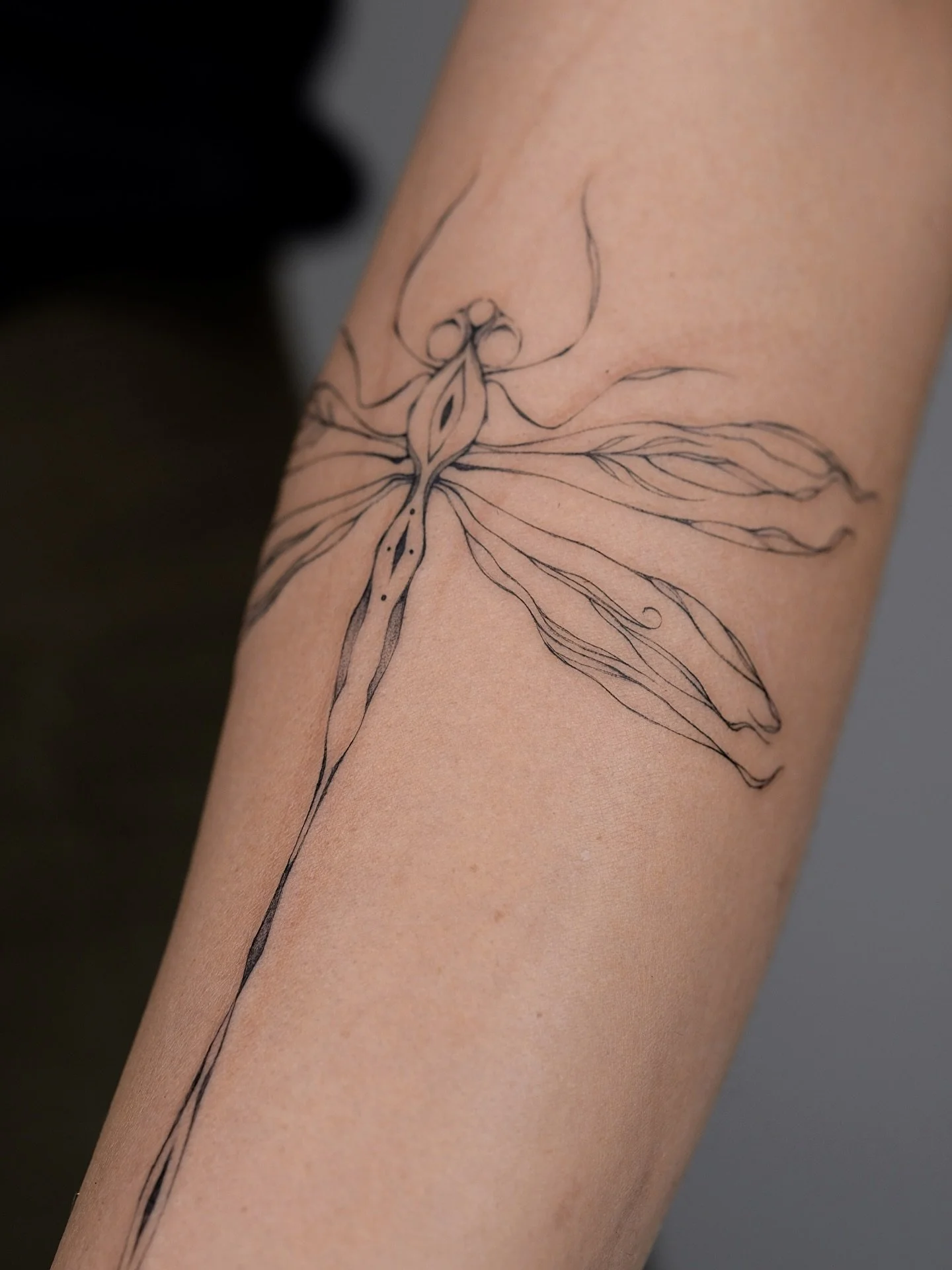Eine Libelle mit floralen Fl&uuml;geln 🤍

#dragonfly#spiritanimal#d#fairies#animaltattoo#singleneedle#fineline#tattooart#tattooartisthamburg#delicatetattoo#finelineexpert#tattoointernational#tattoolover#smalltattoos