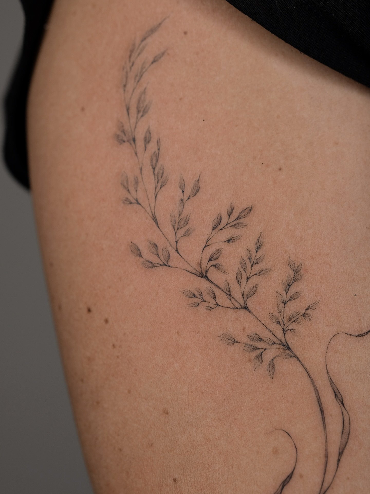 All diese zarte, kleinen Details&hellip; ich liebs doch! 

#tattooswithlove#tattooswithintention#fineline#singleneedle#tattooartisthh#delicatetattoo#botanictattoos#floraletattoo