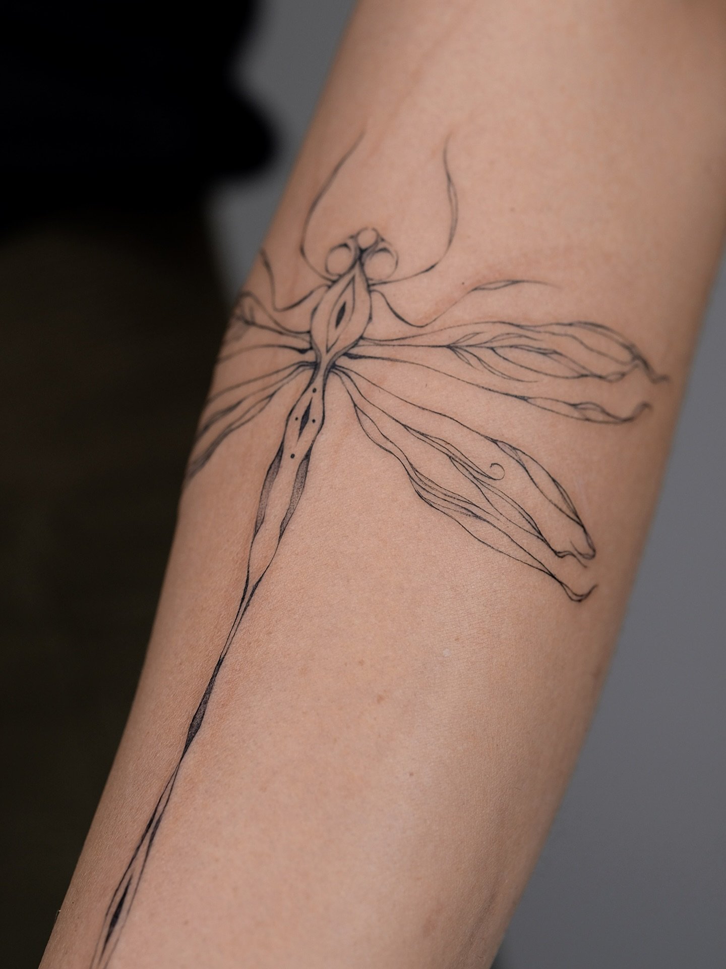 Eine Libelle mit floralen Fl&uuml;geln 🤍

#dragonfly#spiritanimal#fairies#animaltattoo#singleneedle#fineline#tattooart#tattooartisthamburg#delicatetattoo#finelineexpert#tattoointernational#tattoolover#smalltattoos