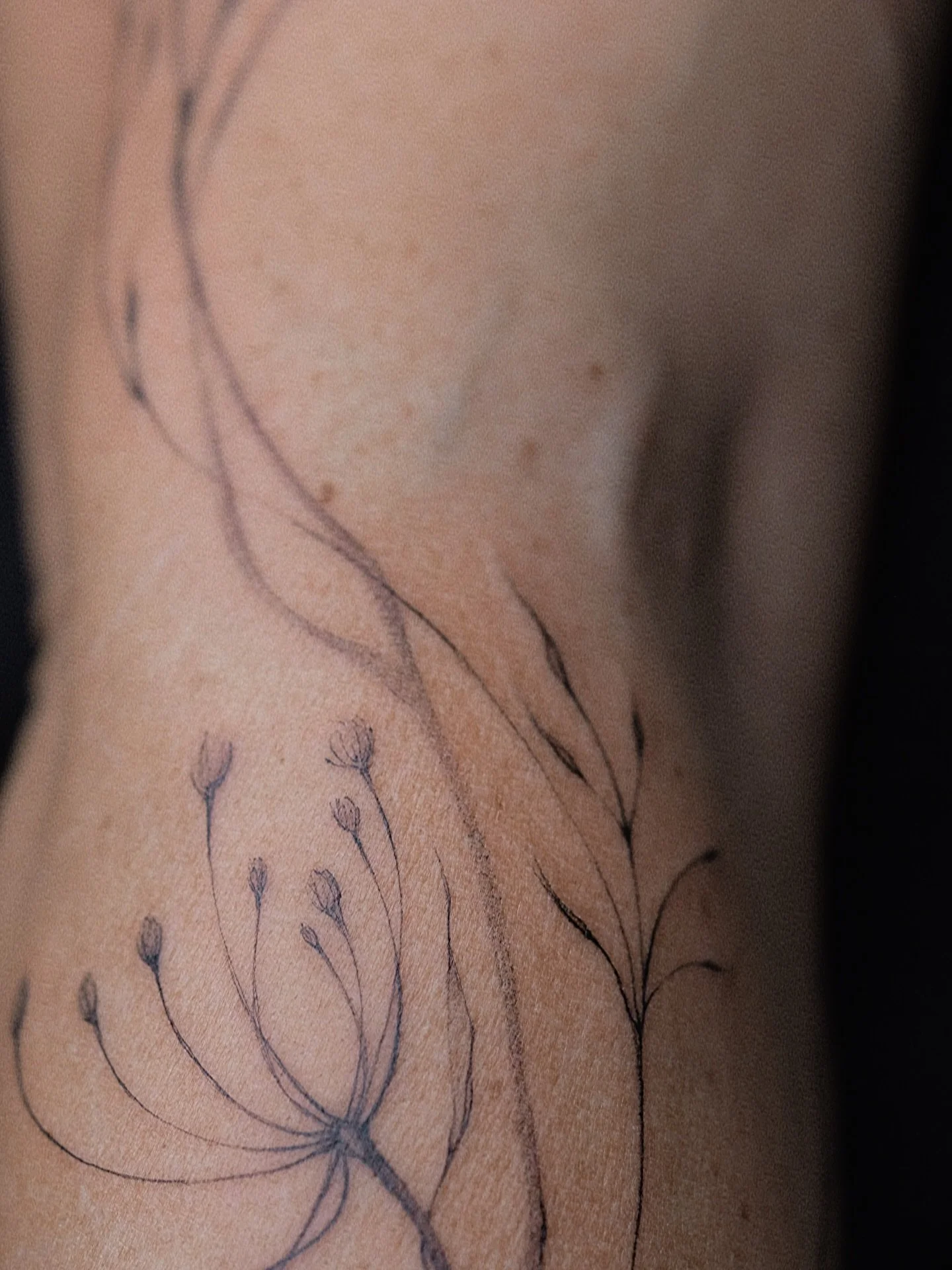 Details, details, details 🤍

#tattooswithlove#tattooswithintention#fineline#singleneedle#tattooartisthhdelicatetattoobotanictattoosfloraletattoo