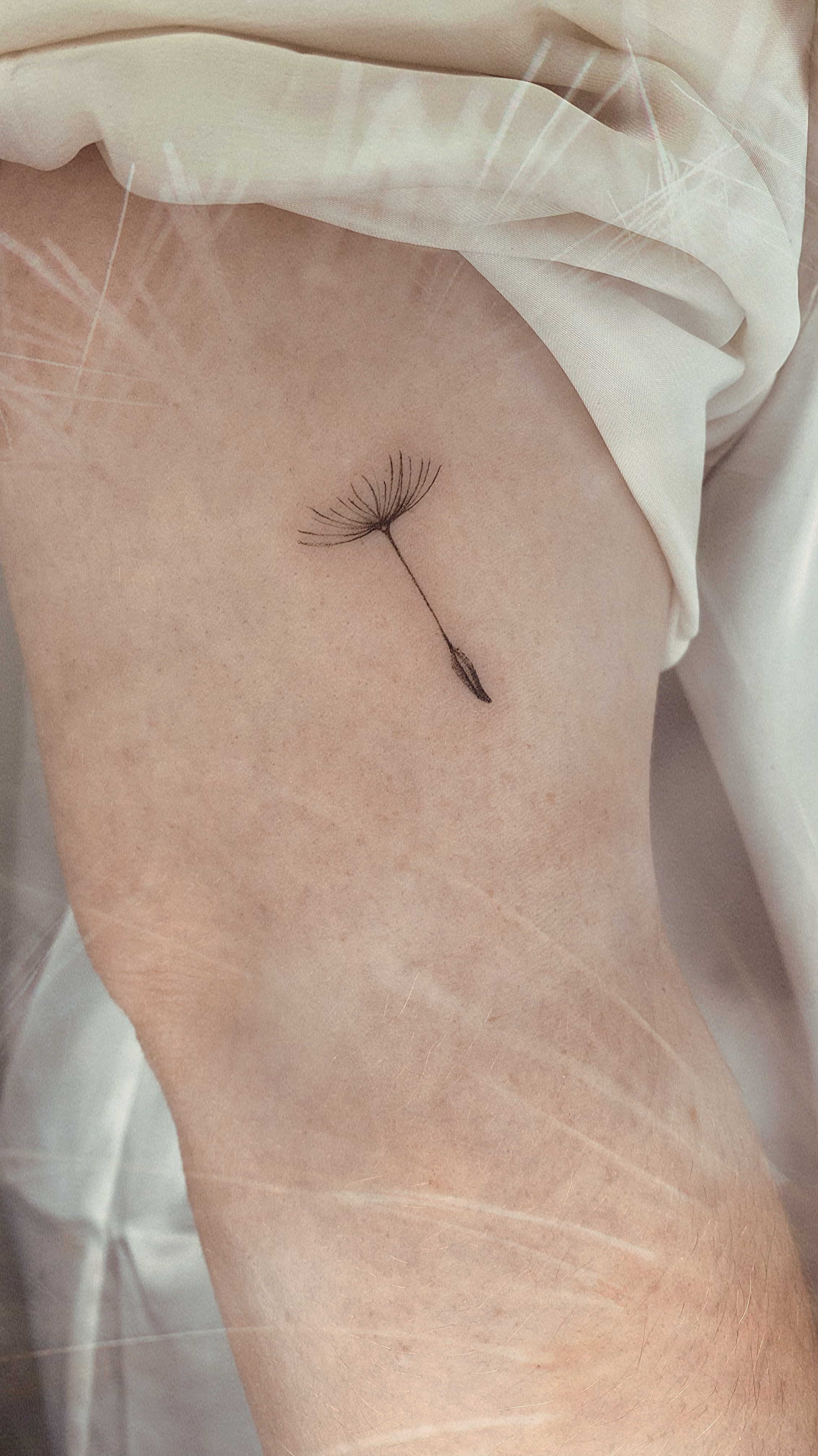 Tattoo_Pusteblume.png
