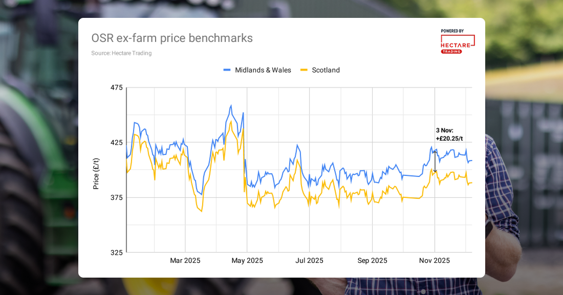 A line chart comparing the price of oilseed rape throughout 2025 in the Midlands & Wales and Scotland