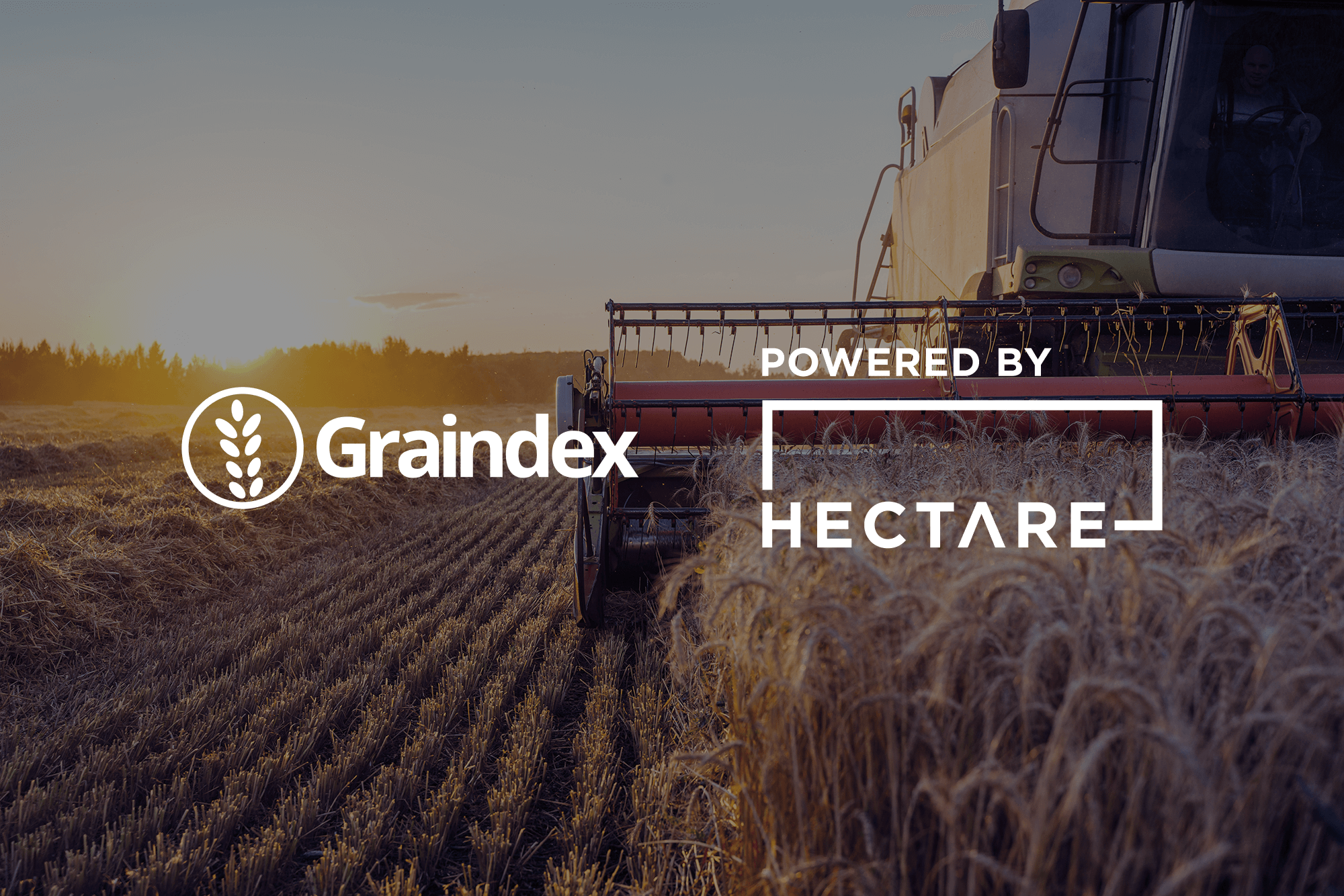 The Online Grain Trading Revolution: The Story of Graindex to Hectare