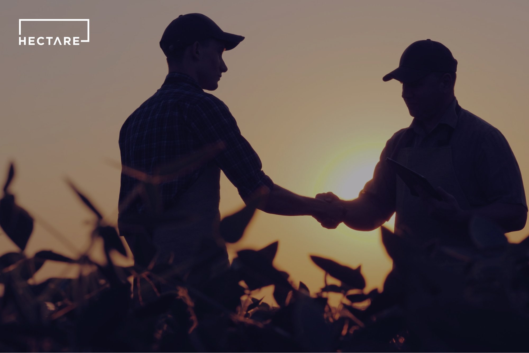 Hectare unveils Trading offering to revolutionise UK Crop Trading