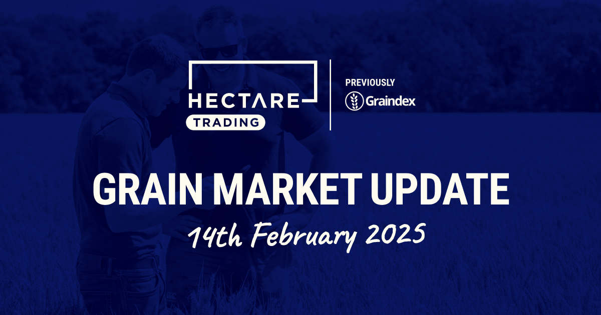 Feed wheat reaches £195-200 this week on Hectare Trading
