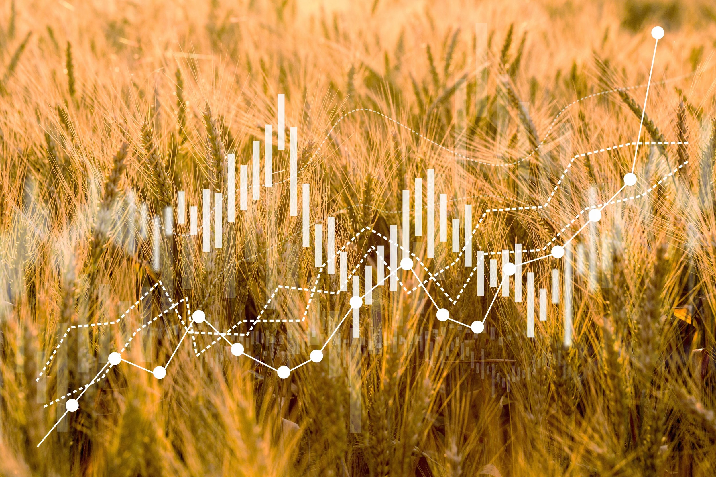 Why reliable data matters more than ever in grain marketing