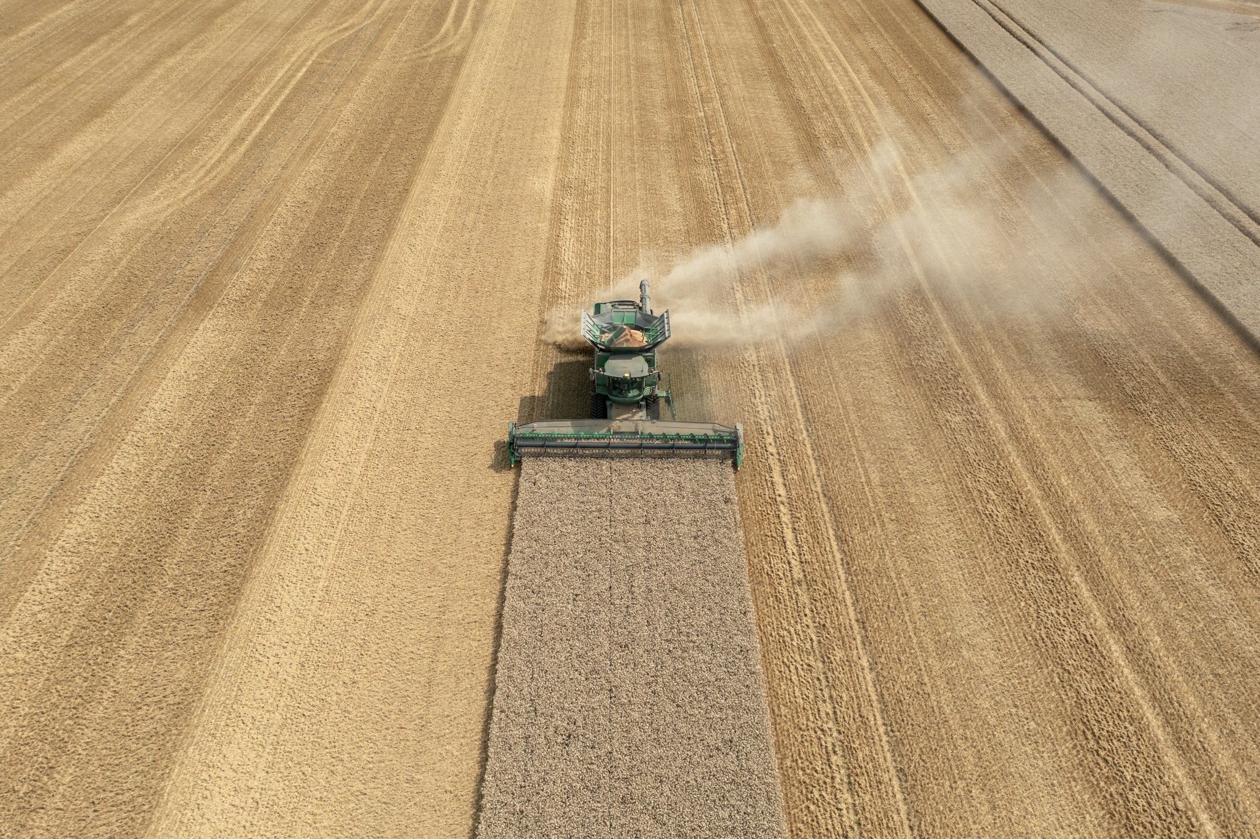 Going global: why it pays to watch international harvests
