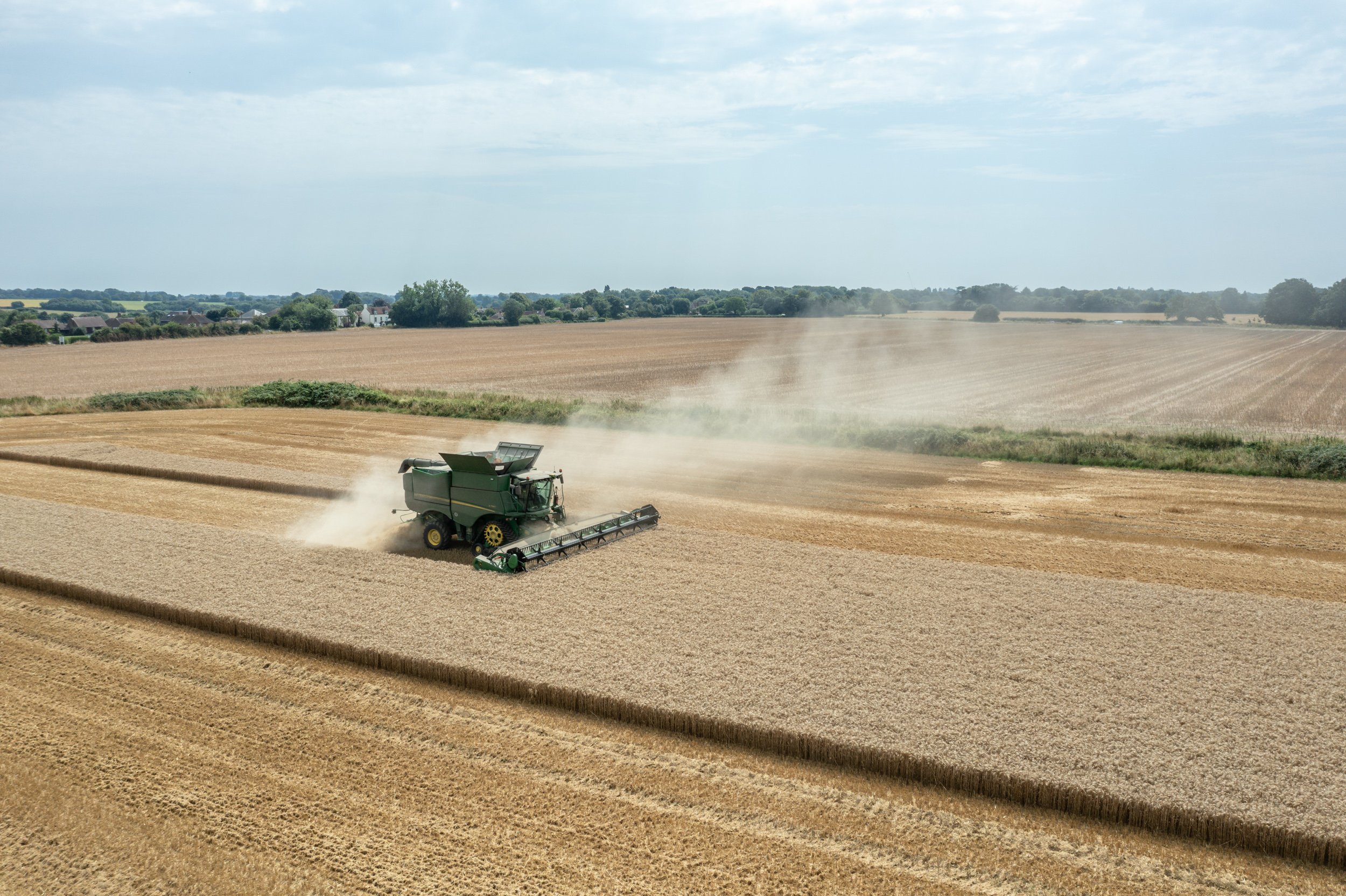 Harvest 2025 underway while global grain supply tightens