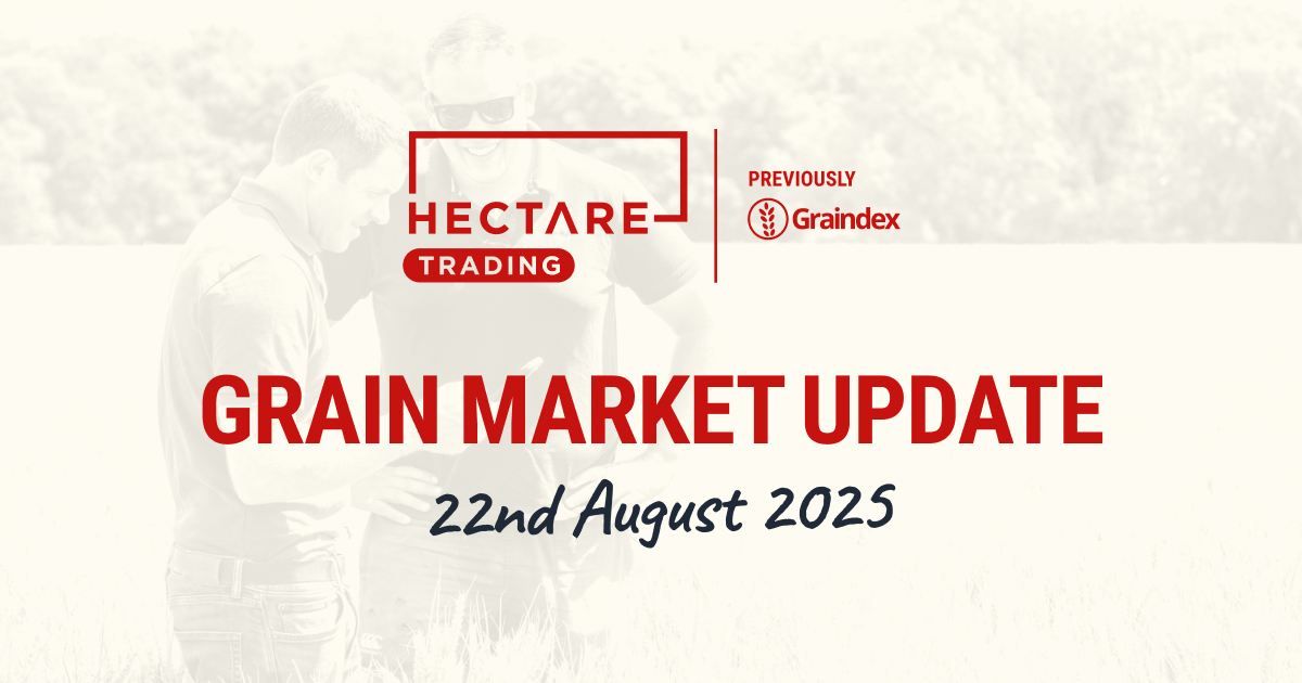Strong dollar supports European wheat prices