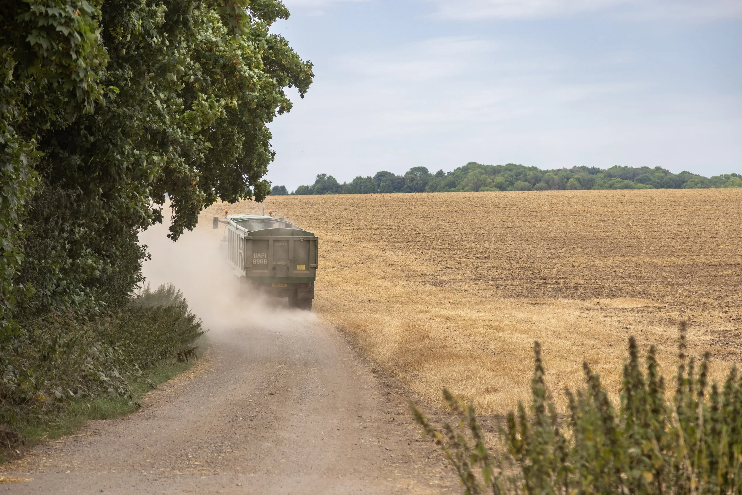 Harvest 2025: why yield averages don’t tell the whole story
