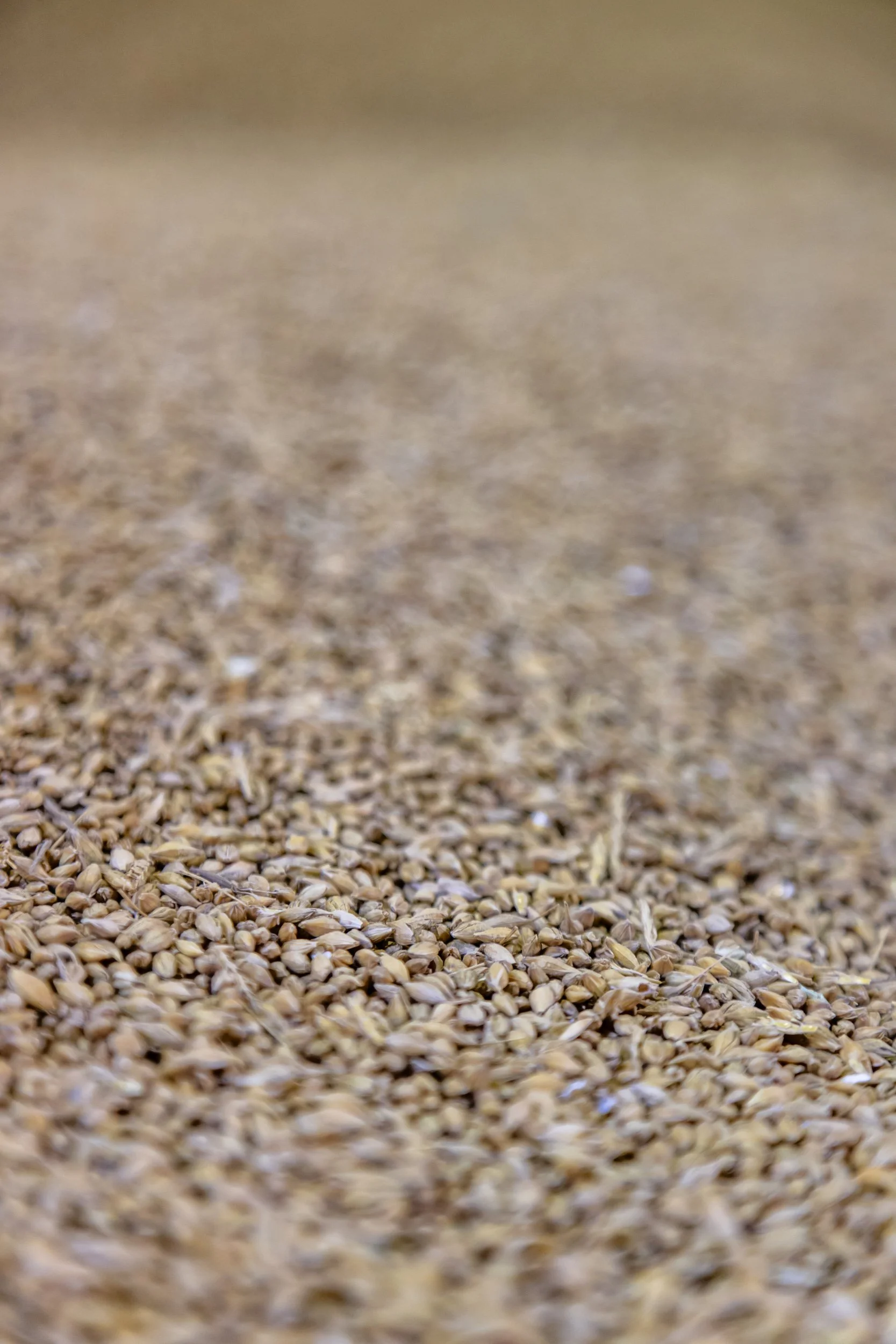 Grain marketing in January: planning for the year ahead