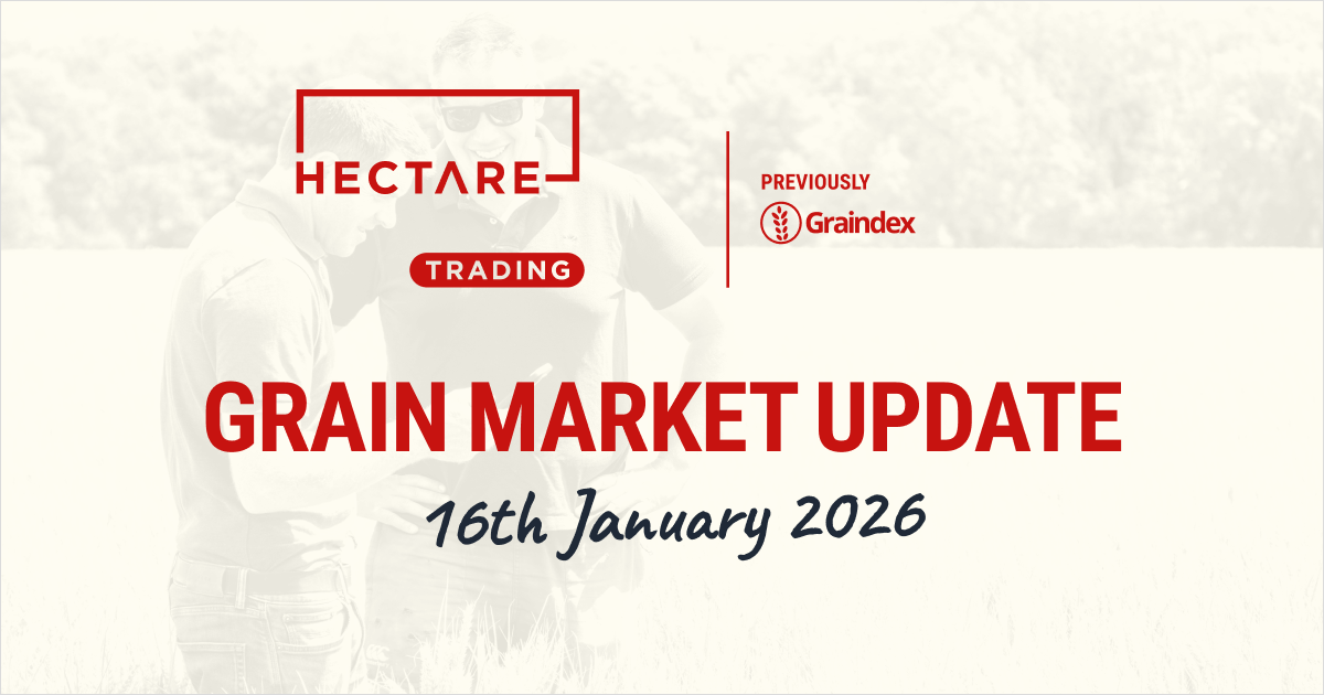 Global wheat and barley production holds back UK prices