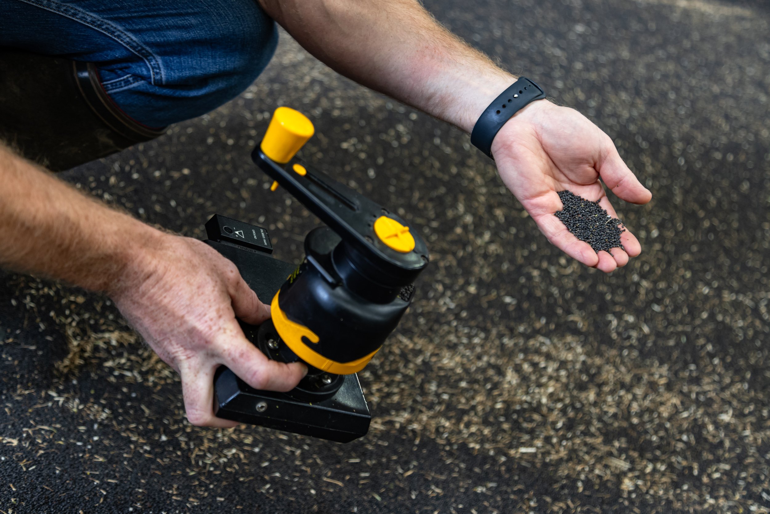 What really sets the price of your oilseed rape?