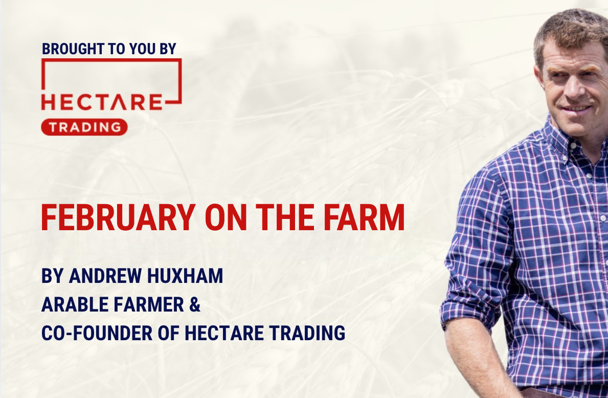 February on the farm