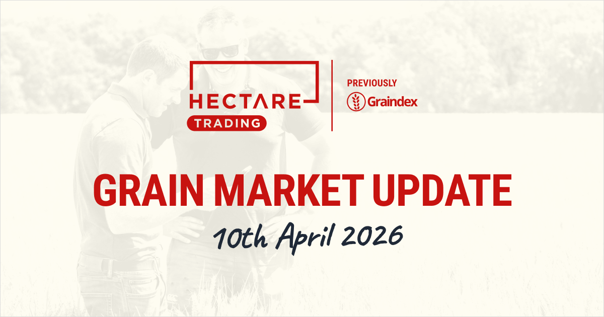 Wheat swings on US–Iran ceasefire, while fertiliser concerns remain