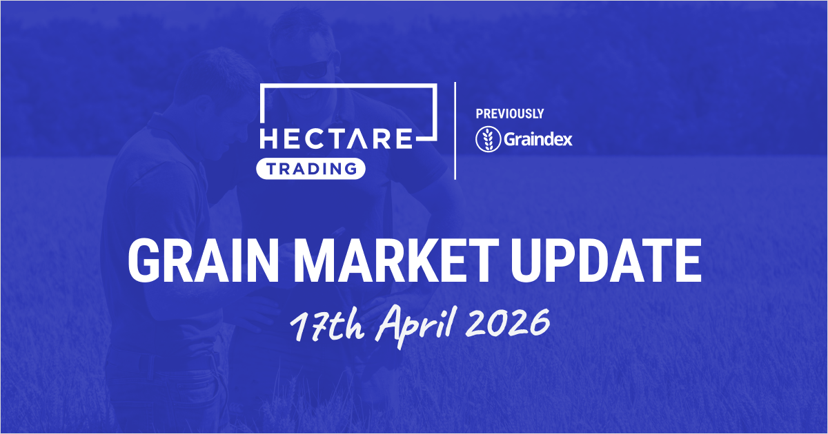 Global wheat glut deepens while US drought risks persist