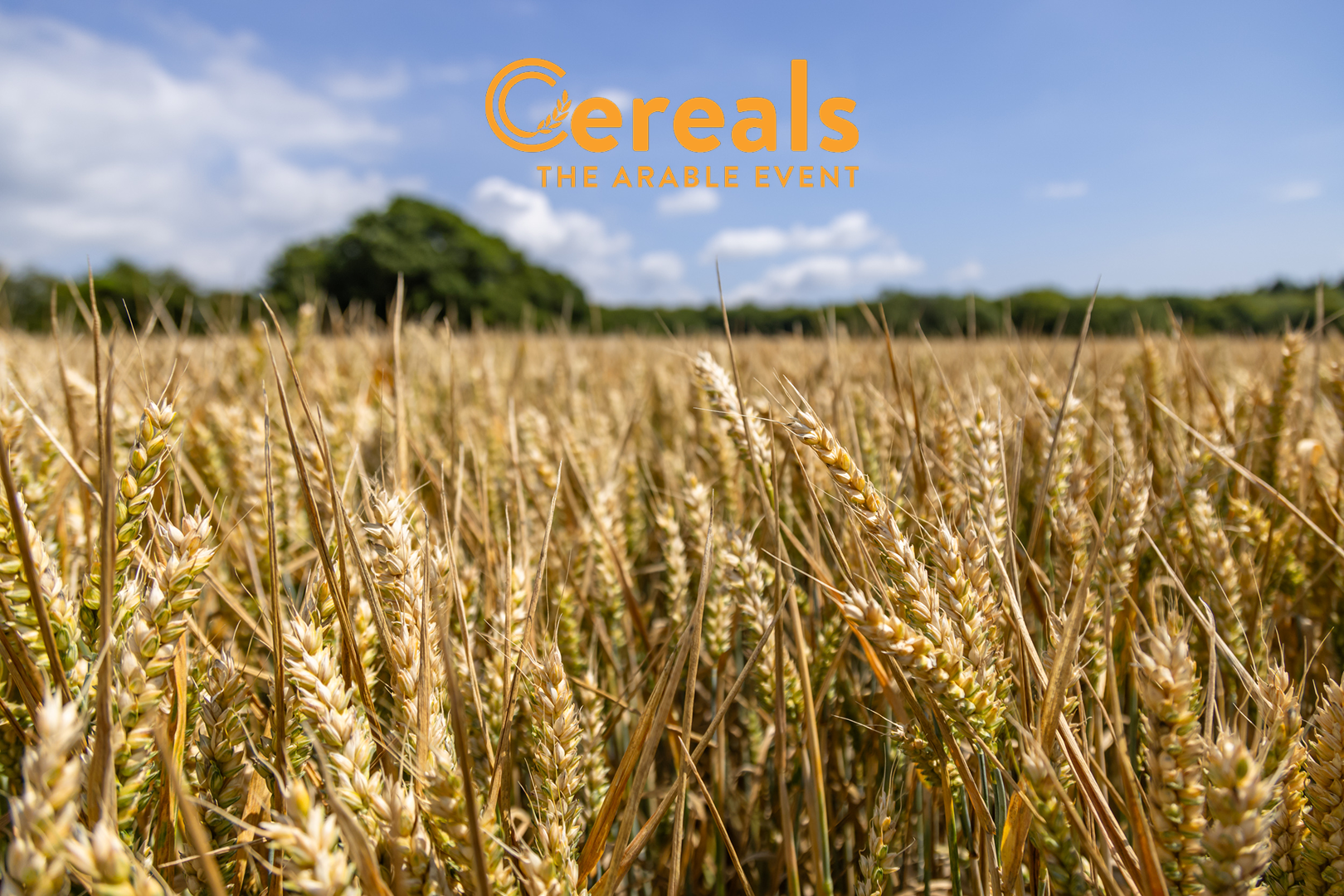 Cereals 2026: finding profitability in challenging times