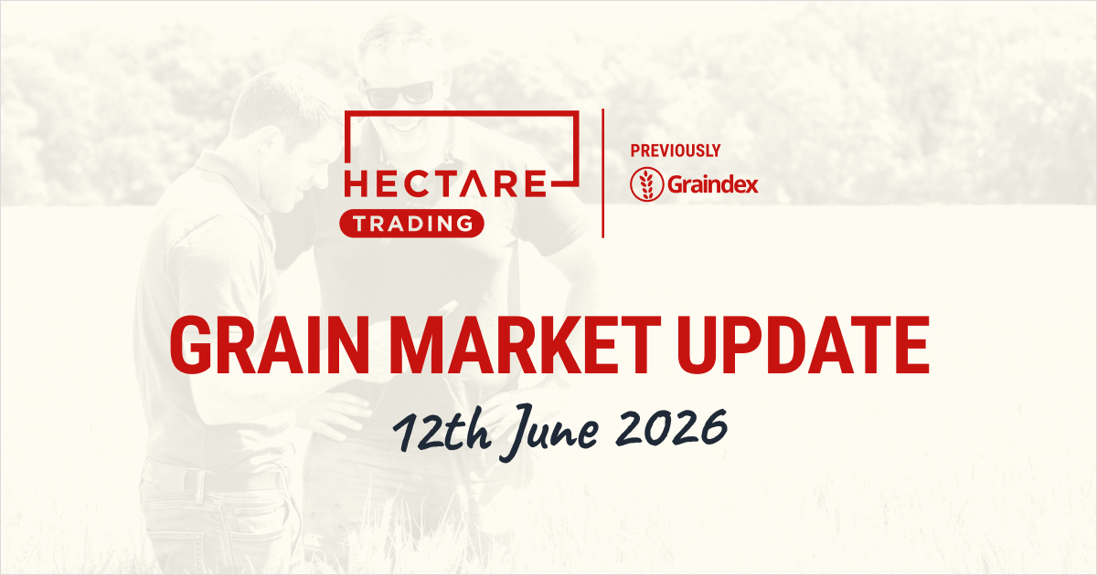 Rain relieves crop concerns but pressures feed wheat prices
