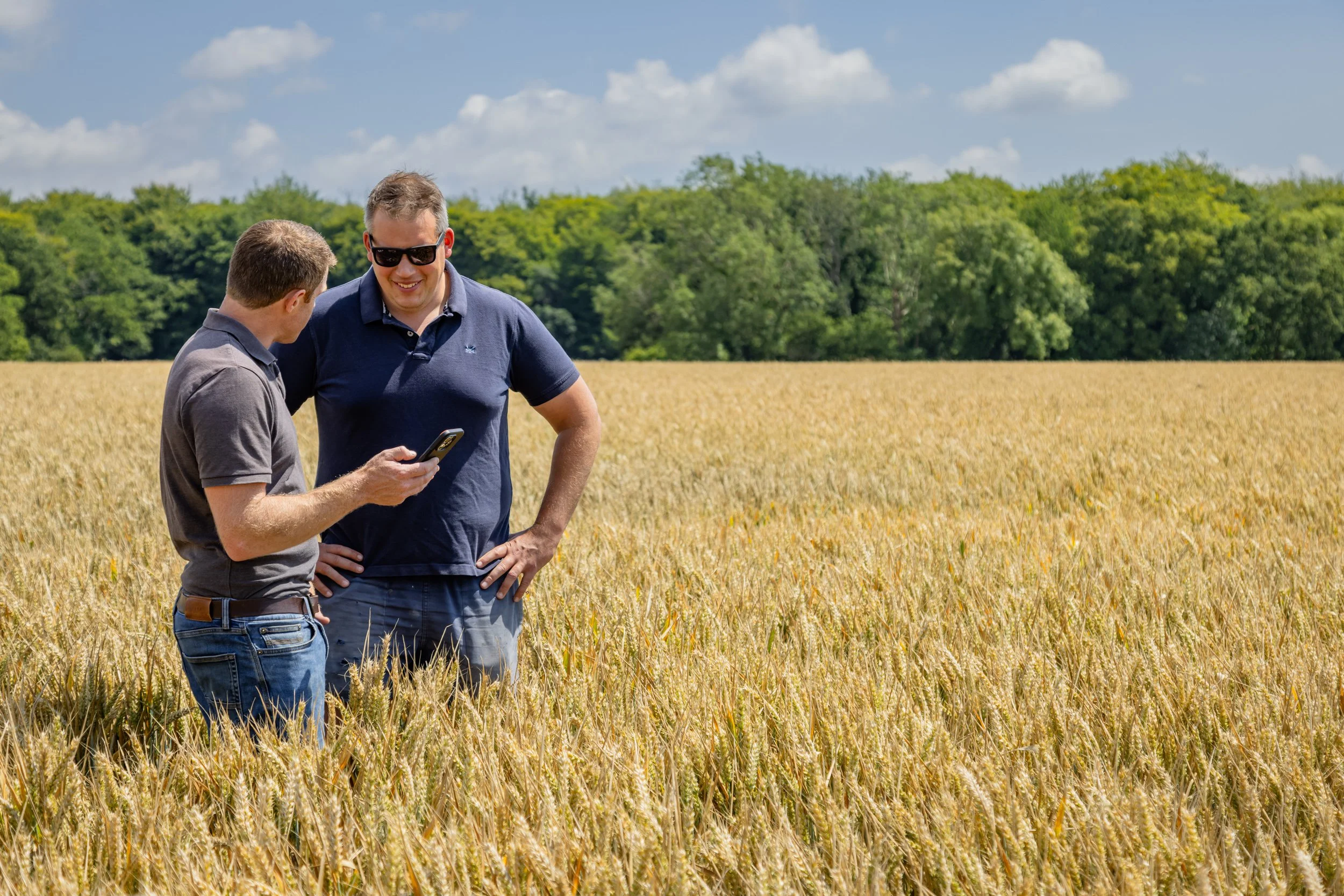 Harvest 2026: selling grain on the move