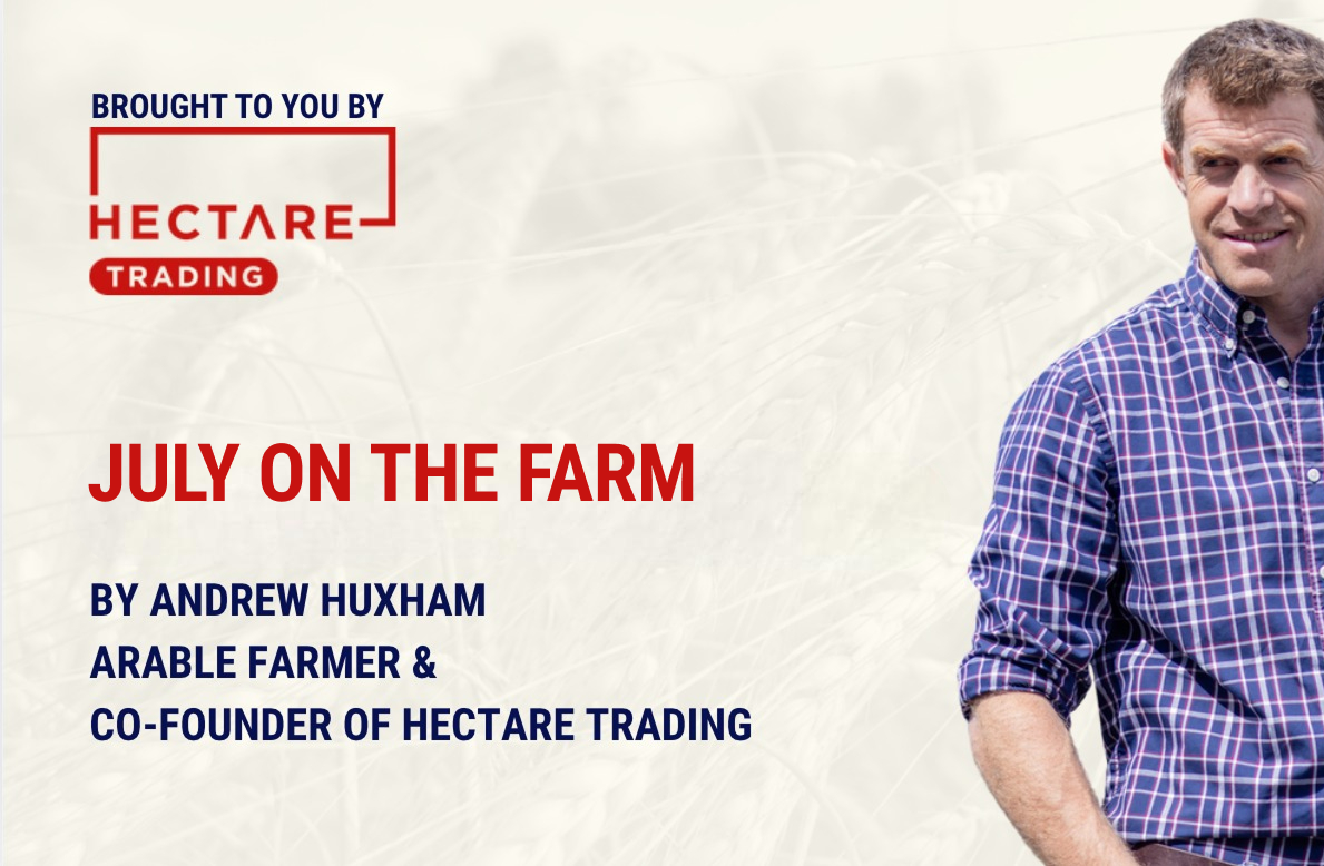 July on the farm