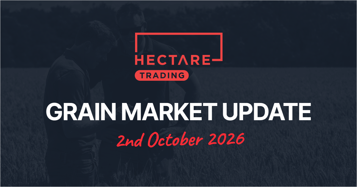 Tight UK wheat supply supports prices despite September slide