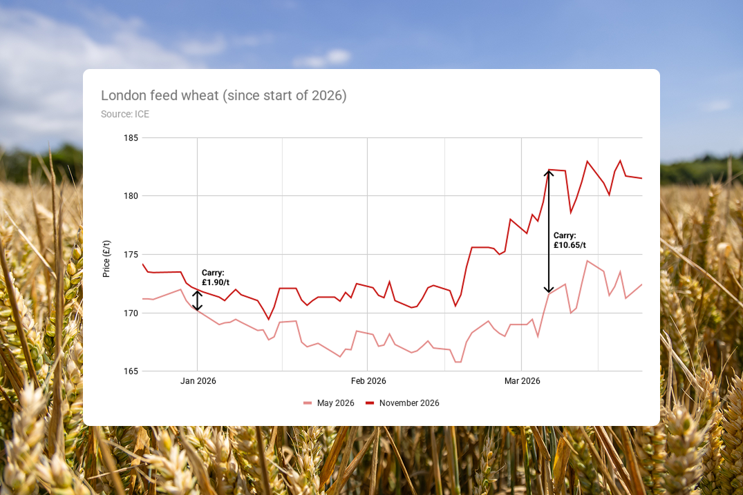 A line chart comparing May 2026 and November 2026 prices for London feed wheat futures sinch the start of 2026