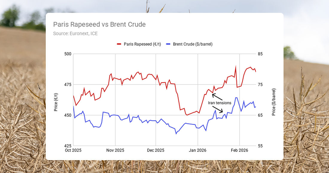 A line chart comparing price moves of Paris rapeseed and Brent crude oil, since October 2025